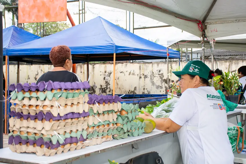  <div class='credito_fotos'>Foto: Karla Reis &nbsp;&nbsp;|&nbsp;&nbsp; <a href='/midias/2026/originais/20260330134844-GF00009361-F00113736.webp' download><i class='fa-solid fa-download'></i> Download</a></div>