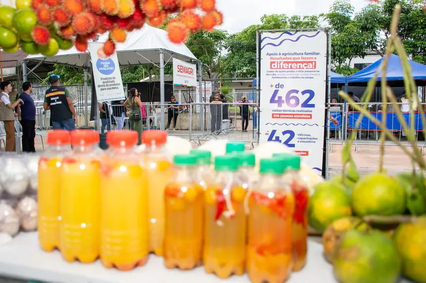  <div class='credito_fotos'>Foto: Karla Reis &nbsp;&nbsp;|&nbsp;&nbsp; <a href='/midias/2026/originais/20260330134845-GF00009361-F00113737.webp' download><i class='fa-solid fa-download'></i> Download</a></div>