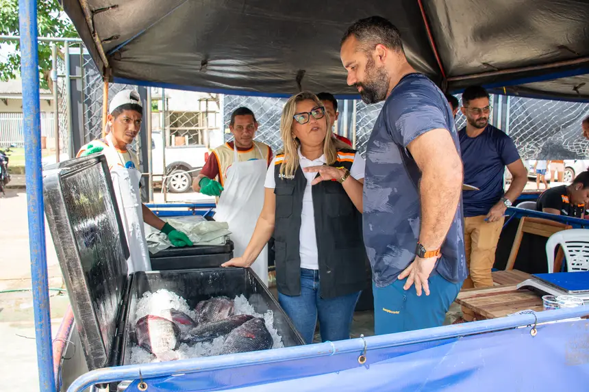  <div class='credito_fotos'>Foto: Karla Reis &nbsp;&nbsp;|&nbsp;&nbsp; <a href='/midias/2026/originais/20260330134855-GF00009361-F00113744.webp' download><i class='fa-solid fa-download'></i> Download</a></div>