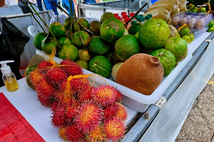 Feira do Pescado Benfica 2 dia <div class='credito_fotos'>Foto: Márcio Souza &nbsp;&nbsp;|&nbsp;&nbsp; <a href='/midias/2026/originais/20260331123647-GF00009363-F00113858.webp' download><i class='fa-solid fa-download'></i> Download</a></div>