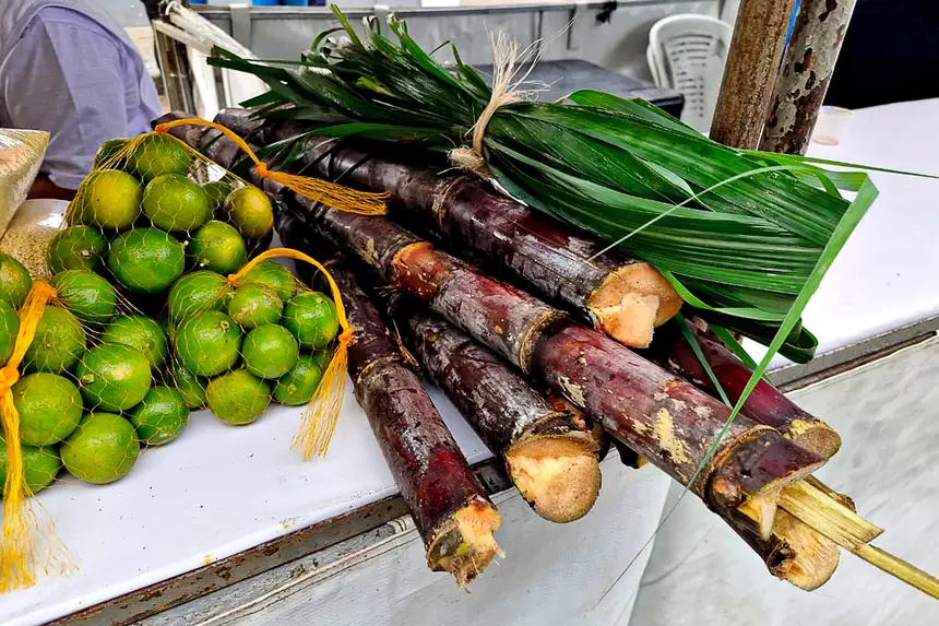  <div class='credito_fotos'>Foto: Márcio Souza &nbsp;&nbsp;|&nbsp;&nbsp; <a href='/midias/2026/originais/20260331123649-GF00009363-F00113859.webp' download><i class='fa-solid fa-download'></i> Download</a></div>