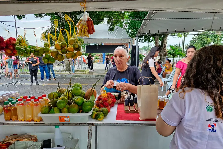  <div class='credito_fotos'>Foto: Márcio Souza &nbsp;&nbsp;|&nbsp;&nbsp; <a href='/midias/2026/originais/20260331123654-GF00009363-F00113862.webp' download><i class='fa-solid fa-download'></i> Download</a></div>