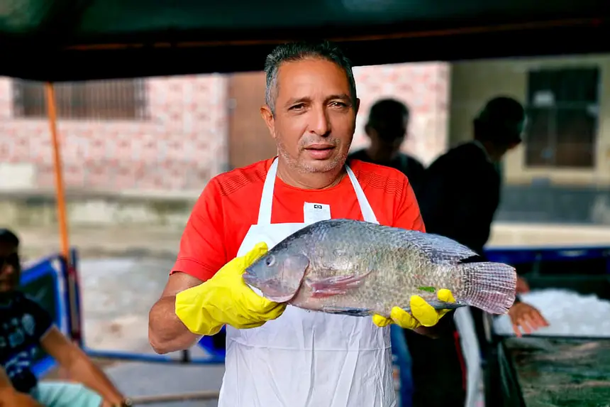  <div class='credito_fotos'>Foto: Márcio Souza &nbsp;&nbsp;|&nbsp;&nbsp; <a href='/midias/2026/originais/20260331123713-GF00009363-F00113874.webp' download><i class='fa-solid fa-download'></i> Download</a></div>