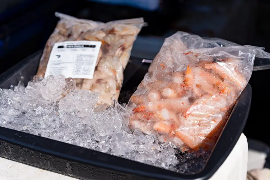  <div class='credito_fotos'>Foto: Heloam Sousa &nbsp;&nbsp;|&nbsp;&nbsp; <a href='/midias/2026/originais/20260401105857-GF00009364-F00113885.webp' download><i class='fa-solid fa-download'></i> Download</a></div>