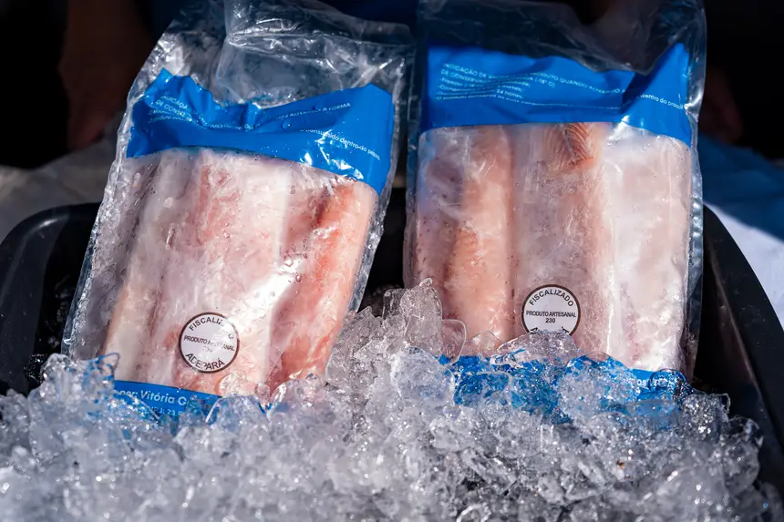  <div class='credito_fotos'>Foto: Heloam Sousa &nbsp;&nbsp;|&nbsp;&nbsp; <a href='/midias/2026/originais/20260401105858-GF00009364-F00113886.webp' download><i class='fa-solid fa-download'></i> Download</a></div>