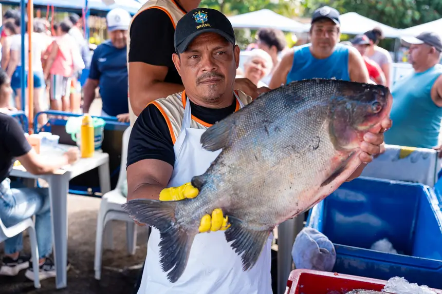  <div class='credito_fotos'>Foto: Heloam Sousa &nbsp;&nbsp;|&nbsp;&nbsp; <a href='/midias/2026/originais/20260401105909-GF00009364-F00113893.webp' download><i class='fa-solid fa-download'></i> Download</a></div>