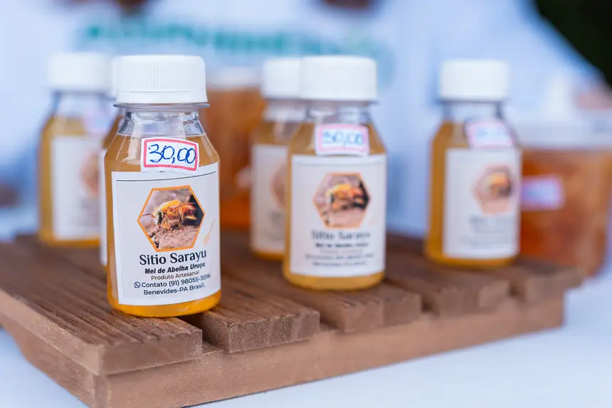  <div class='credito_fotos'>Foto: Heloam Sousa &nbsp;&nbsp;|&nbsp;&nbsp; <a href='/midias/2026/originais/20260401105926-GF00009364-F00113904.webp' download><i class='fa-solid fa-download'></i> Download</a></div>