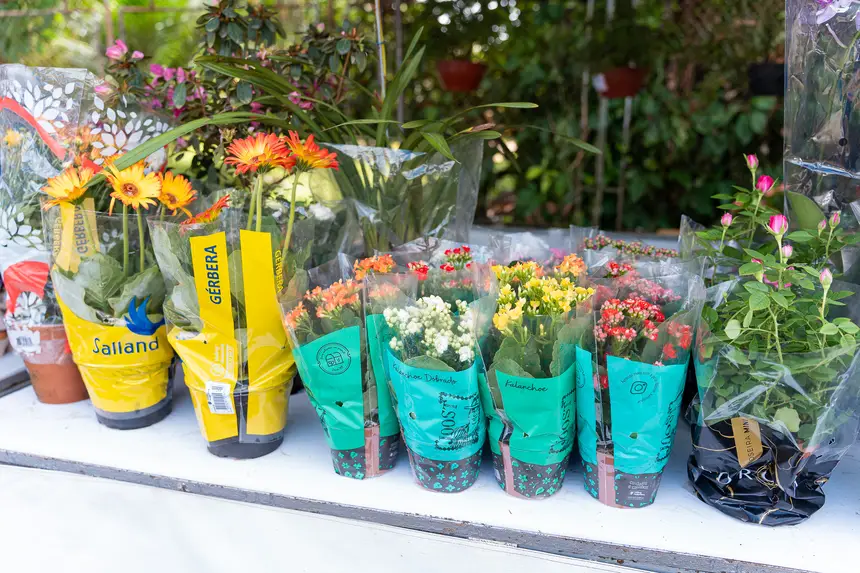  <div class='credito_fotos'>Foto: Heloam Sousa &nbsp;&nbsp;|&nbsp;&nbsp; <a href='/midias/2026/originais/20260401105928-GF00009364-F00113906.webp' download><i class='fa-solid fa-download'></i> Download</a></div>