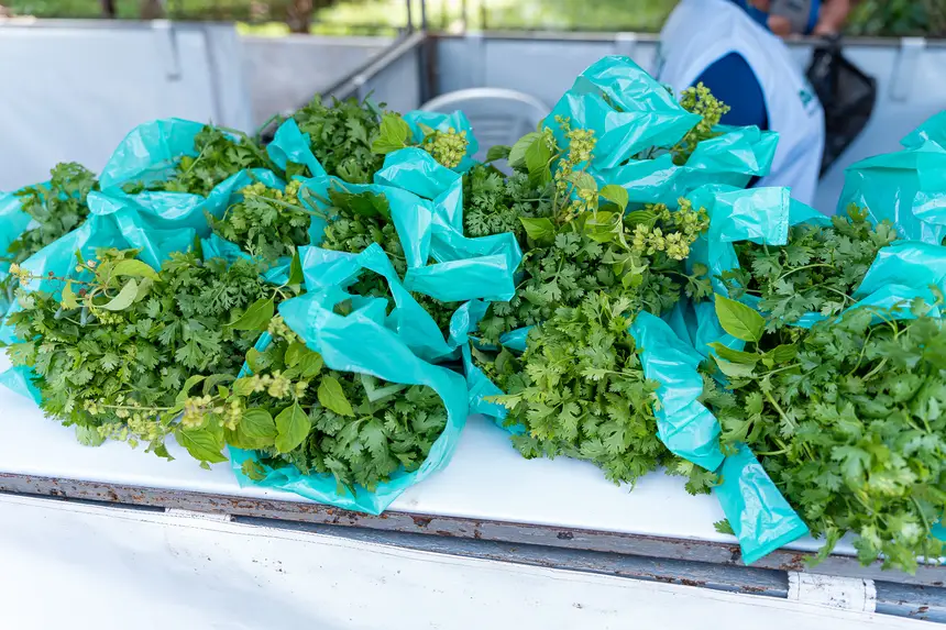  <div class='credito_fotos'>Foto: Heloam Sousa &nbsp;&nbsp;|&nbsp;&nbsp; <a href='/midias/2026/originais/20260401105931-GF00009364-F00113908.webp' download><i class='fa-solid fa-download'></i> Download</a></div>