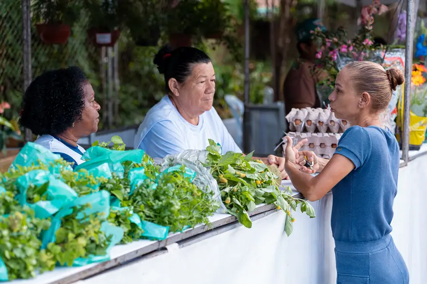  <div class='credito_fotos'>Foto: Heloam Sousa &nbsp;&nbsp;|&nbsp;&nbsp; <a href='/midias/2026/originais/20260401105939-GF00009364-F00113913.webp' download><i class='fa-solid fa-download'></i> Download</a></div>