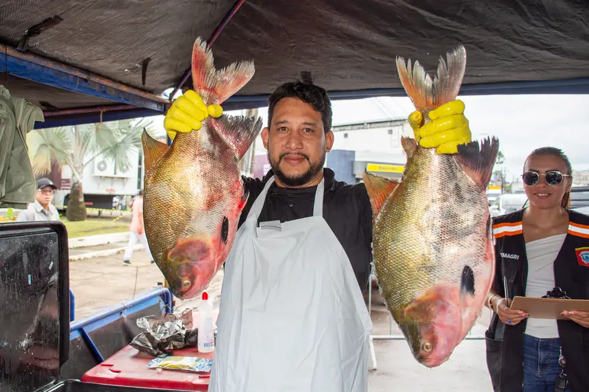  <div class='credito_fotos'>Foto: Karla Reis &nbsp;&nbsp;|&nbsp;&nbsp; <a href='/midias/2026/originais/20260402161936-GF00009368-F00114067.webp' download><i class='fa-solid fa-download'></i> Download</a></div>