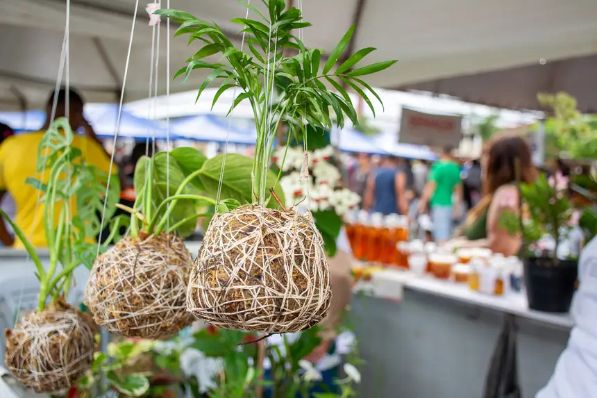  <div class='credito_fotos'>Foto: Karla Reis &nbsp;&nbsp;|&nbsp;&nbsp; <a href='/midias/2026/originais/20260402161941-GF00009368-F00114071.webp' download><i class='fa-solid fa-download'></i> Download</a></div>