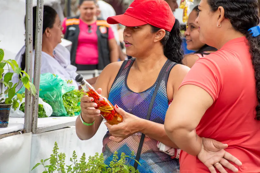  <div class='credito_fotos'>Foto: Karla Reis &nbsp;&nbsp;|&nbsp;&nbsp; <a href='/midias/2026/originais/20260402161949-GF00009368-F00114077.webp' download><i class='fa-solid fa-download'></i> Download</a></div>