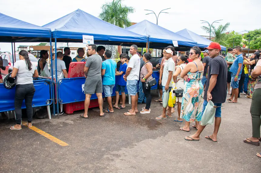  <div class='credito_fotos'>Foto: Karla Reis &nbsp;&nbsp;|&nbsp;&nbsp; <a href='/midias/2026/originais/20260402162057-GF00009368-F00114128.webp' download><i class='fa-solid fa-download'></i> Download</a></div>