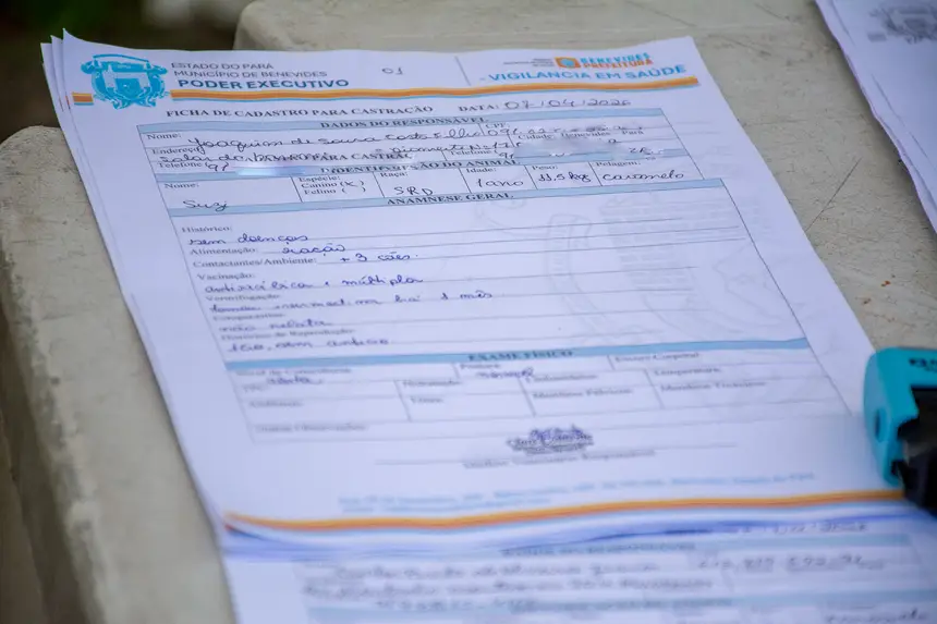  <div class='credito_fotos'>Foto: Karla Reis &nbsp;&nbsp;|&nbsp;&nbsp; <a href='/midias/2026/originais/20260409114307-GF00009369-F00114142.webp' download><i class='fa-solid fa-download'></i> Download</a></div>