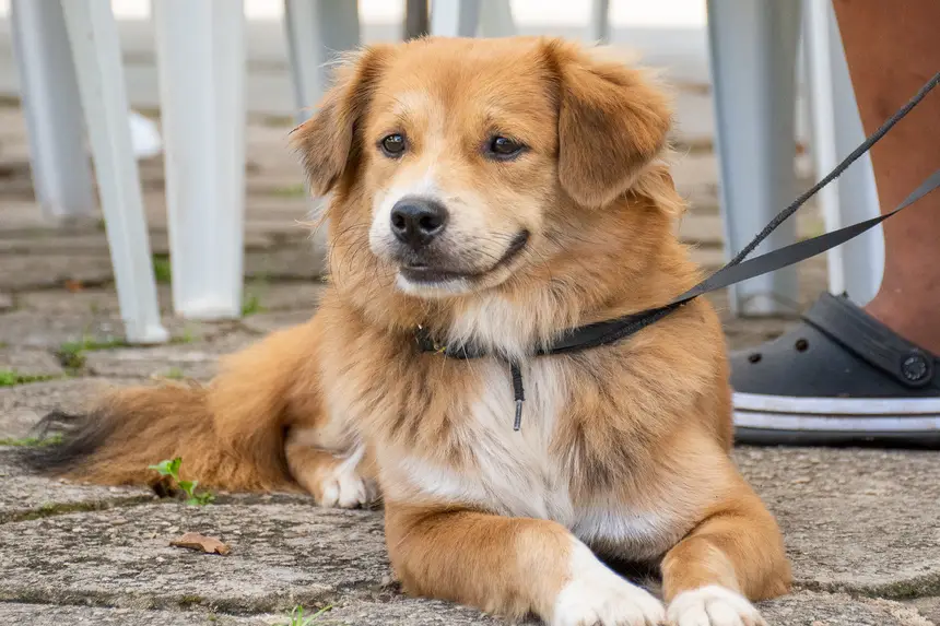  <div class='credito_fotos'>Foto: Karla Reis &nbsp;&nbsp;|&nbsp;&nbsp; <a href='/midias/2026/originais/20260409114314-GF00009369-F00114147.webp' download><i class='fa-solid fa-download'></i> Download</a></div>