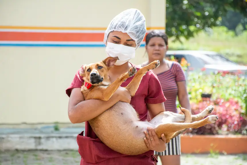  <div class='credito_fotos'>Foto: Karla Reis &nbsp;&nbsp;|&nbsp;&nbsp; <a href='/midias/2026/originais/20260409114322-GF00009369-F00114154.webp' download><i class='fa-solid fa-download'></i> Download</a></div>