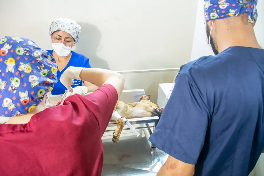  <div class='credito_fotos'>Foto: Karla Reis &nbsp;&nbsp;|&nbsp;&nbsp; <a href='/midias/2026/originais/20260409114340-GF00009369-F00114167.webp' download><i class='fa-solid fa-download'></i> Download</a></div>