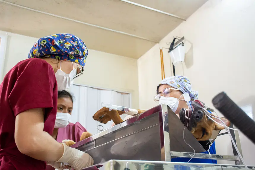  <div class='credito_fotos'>Foto: Karla Reis &nbsp;&nbsp;|&nbsp;&nbsp; <a href='/midias/2026/originais/20260409114342-GF00009369-F00114168.webp' download><i class='fa-solid fa-download'></i> Download</a></div>