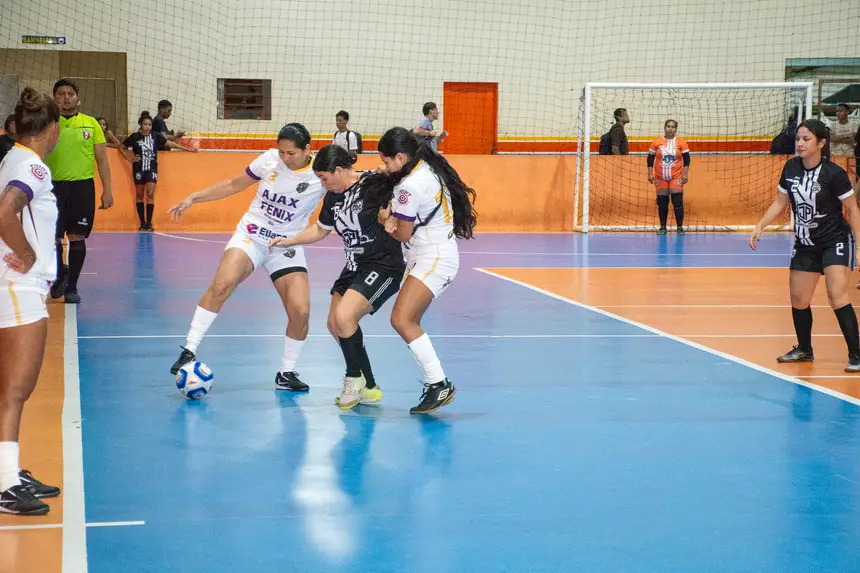  <div class='credito_fotos'>Foto: Karla Reis &nbsp;&nbsp;|&nbsp;&nbsp; <a href='/midias/2026/originais/20260424101028-GF00009383-F00114886.webp' download><i class='fa-solid fa-download'></i> Download</a></div>