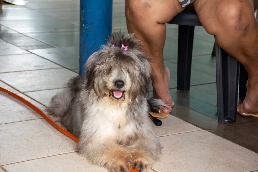  <div class='credito_fotos'>Foto: Karla Reis &nbsp;&nbsp;|&nbsp;&nbsp; <a href='/midias/2026/originais/20260428112024-GF00009387-F00115049.webp' download><i class='fa-solid fa-download'></i> Download</a></div>