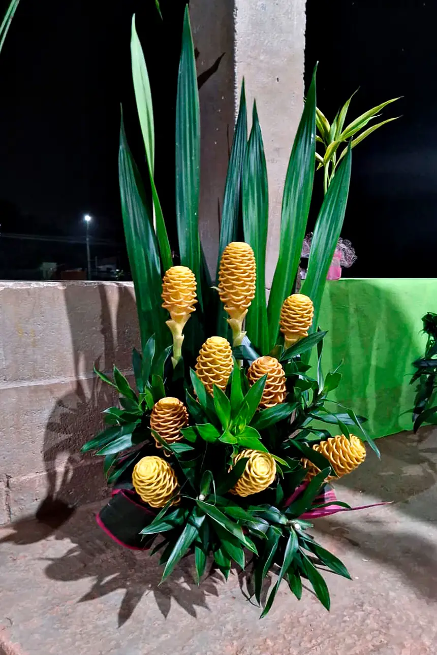  <div class='credito_fotos'>Foto: Márcio Souza &nbsp;&nbsp;|&nbsp;&nbsp; <a href='/midias/2026/originais/20260429221327-GF00009391-F00115182.webp' download><i class='fa-solid fa-download'></i> Download</a></div>