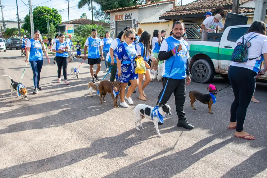  <div class='credito_fotos'>Foto: Karla Reis &nbsp;&nbsp;|&nbsp;&nbsp; <a href='/midias/2026/originais/20260516180352-GF00009407-F00116008.webp' download><i class='fa-solid fa-download'></i> Download</a></div>