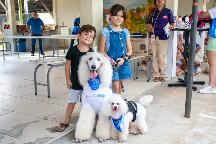  <div class='credito_fotos'>Foto: Karla Reis &nbsp;&nbsp;|&nbsp;&nbsp; <a href='/midias/2026/originais/20260516180412-GF00009407-F00116024.webp' download><i class='fa-solid fa-download'></i> Download</a></div>