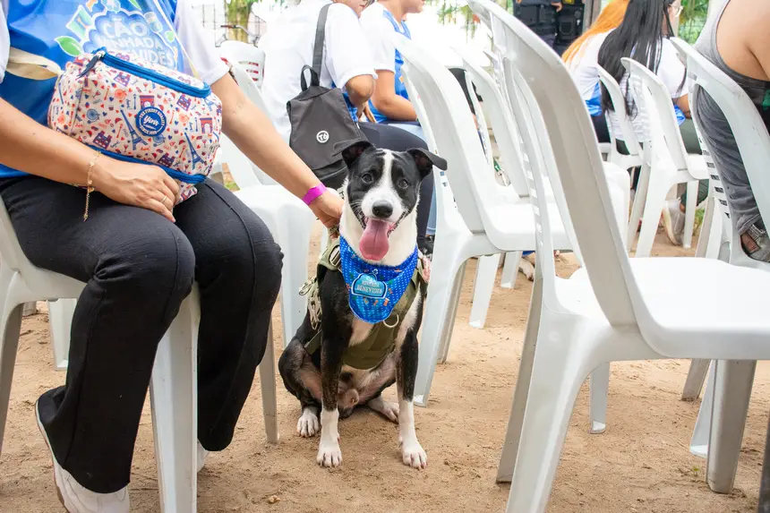  <div class='credito_fotos'>Foto: Karla Reis &nbsp;&nbsp;|&nbsp;&nbsp; <a href='/midias/2026/originais/20260516180414-GF00009407-F00116025.webp' download><i class='fa-solid fa-download'></i> Download</a></div>