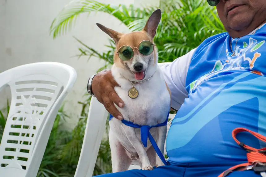  <div class='credito_fotos'>Foto: Karla Reis &nbsp;&nbsp;|&nbsp;&nbsp; <a href='/midias/2026/originais/20260516180434-GF00009407-F00116041.webp' download><i class='fa-solid fa-download'></i> Download</a></div>