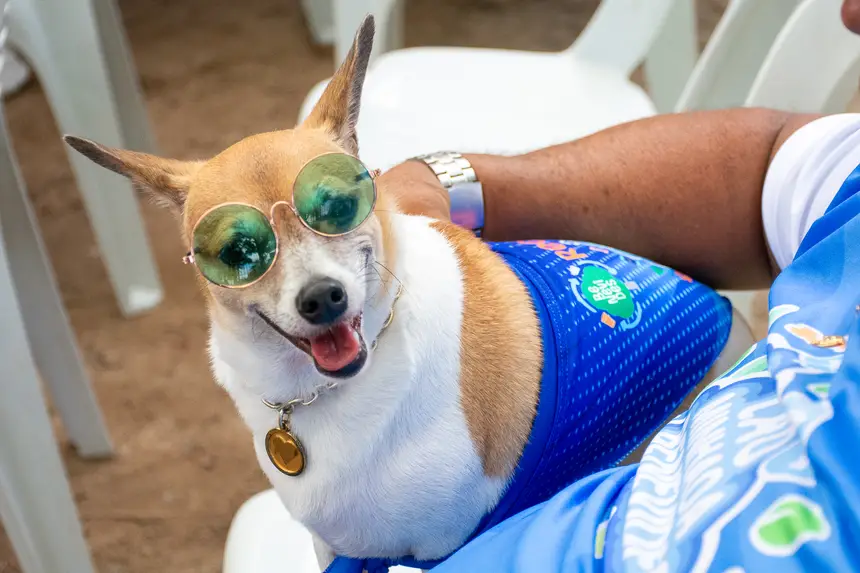  <div class='credito_fotos'>Foto: Karla Reis &nbsp;&nbsp;|&nbsp;&nbsp; <a href='/midias/2026/originais/20260516180440-GF00009407-F00116045.webp' download><i class='fa-solid fa-download'></i> Download</a></div>