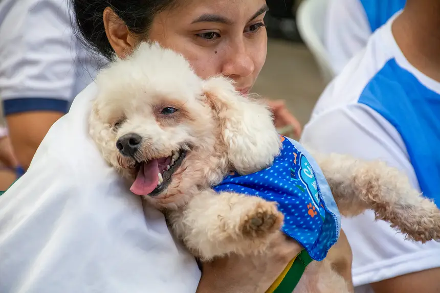  <div class='credito_fotos'>Foto: Karla Reis &nbsp;&nbsp;|&nbsp;&nbsp; <a href='/midias/2026/originais/20260516180457-GF00009407-F00116058.webp' download><i class='fa-solid fa-download'></i> Download</a></div>