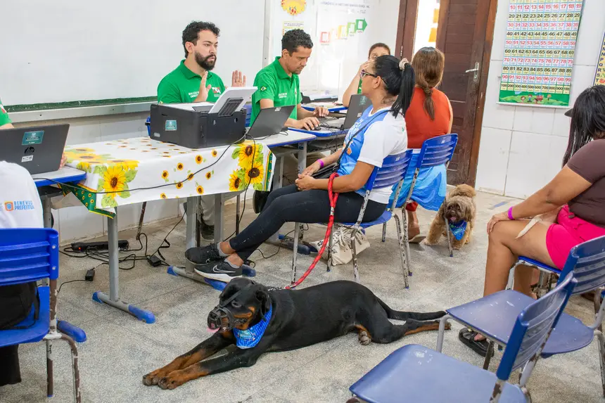  <div class='credito_fotos'>Foto: Karla Reis &nbsp;&nbsp;|&nbsp;&nbsp; <a href='/midias/2026/originais/20260516180502-GF00009407-F00116062.webp' download><i class='fa-solid fa-download'></i> Download</a></div>
