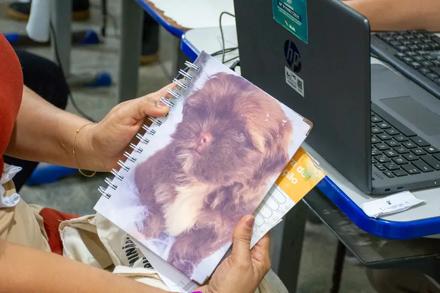  <div class='credito_fotos'>Foto: Karla Reis &nbsp;&nbsp;|&nbsp;&nbsp; <a href='/midias/2026/originais/20260516180505-GF00009407-F00116064.webp' download><i class='fa-solid fa-download'></i> Download</a></div>