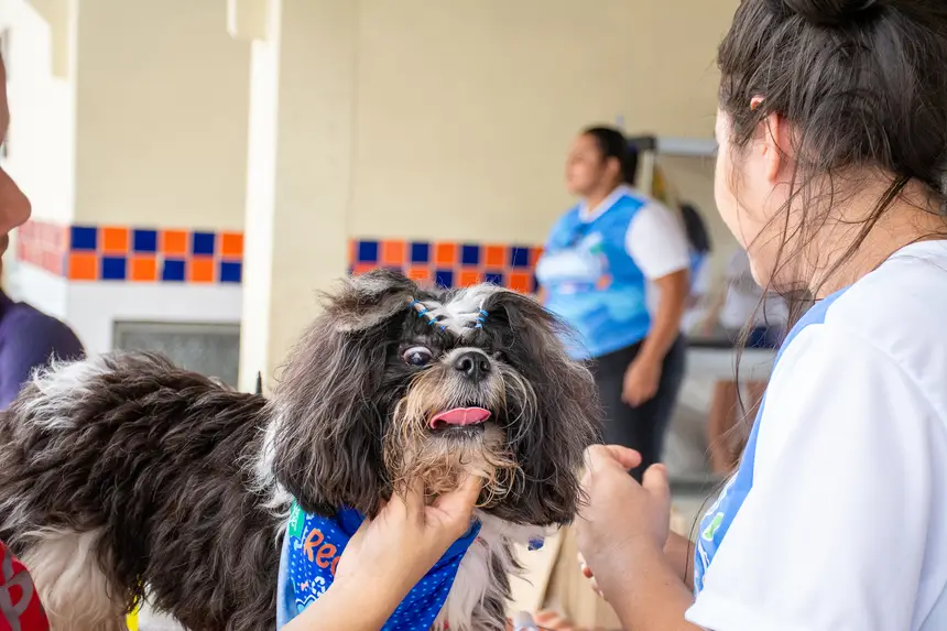  <div class='credito_fotos'>Foto: Karla Reis &nbsp;&nbsp;|&nbsp;&nbsp; <a href='/midias/2026/originais/20260516180525-GF00009407-F00116080.webp' download><i class='fa-solid fa-download'></i> Download</a></div>