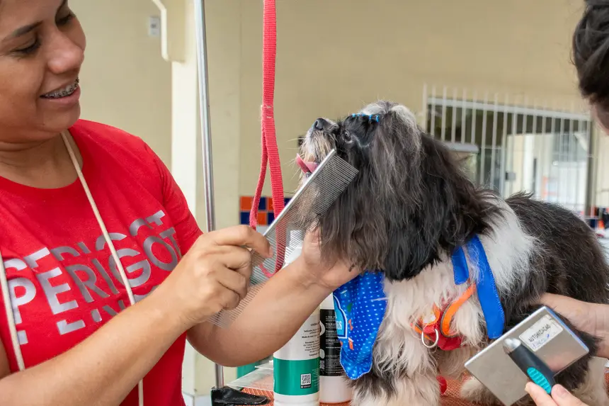  <div class='credito_fotos'>Foto: Karla Reis &nbsp;&nbsp;|&nbsp;&nbsp; <a href='/midias/2026/originais/20260516180529-GF00009407-F00116083.webp' download><i class='fa-solid fa-download'></i> Download</a></div>