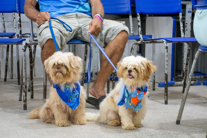  <div class='credito_fotos'>Foto: Karla Reis &nbsp;&nbsp;|&nbsp;&nbsp; <a href='/midias/2026/originais/20260516180541-GF00009407-F00116092.webp' download><i class='fa-solid fa-download'></i> Download</a></div>