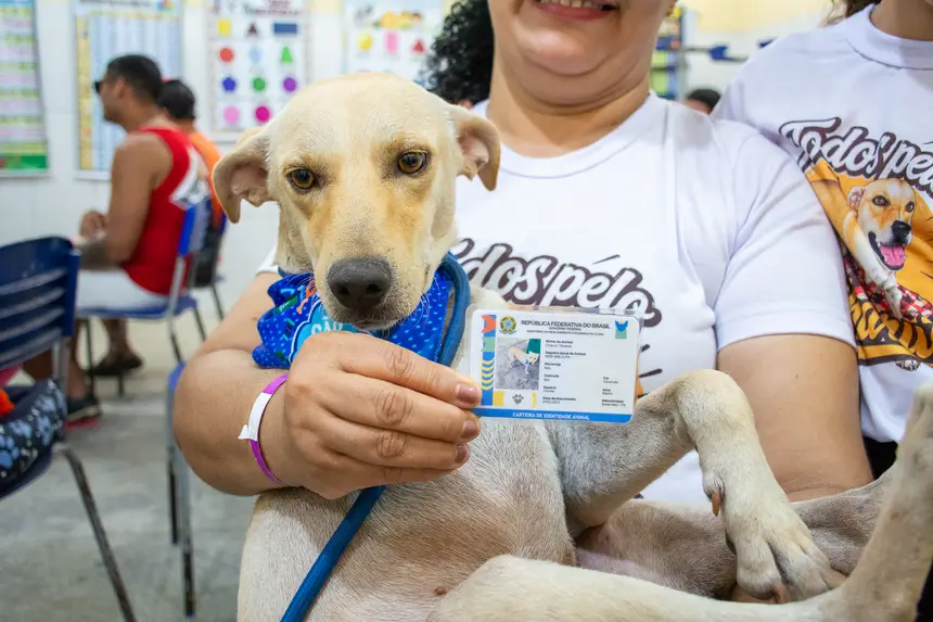  <div class='credito_fotos'>Foto: Karla Reis &nbsp;&nbsp;|&nbsp;&nbsp; <a href='/midias/2026/originais/20260516180549-GF00009407-F00116099.webp' download><i class='fa-solid fa-download'></i> Download</a></div>