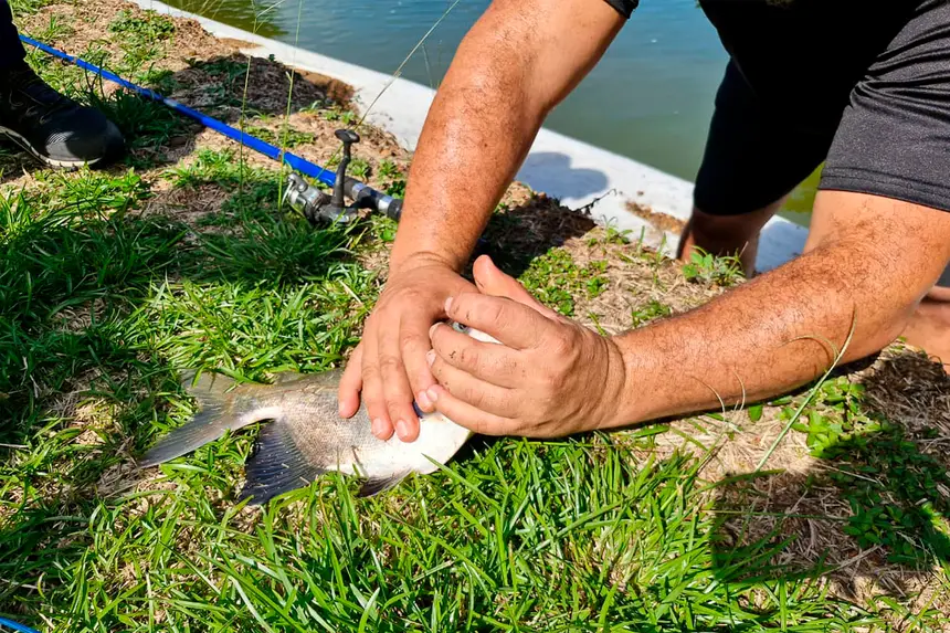 Bastidores da reportagem especial da TV Record - Record News sobre o potencial turístico e econômico de Benevides gravada no último dia 14 de Julho em diversos pontos do município.

O especial irá ao ar (em breve) na TV Record Belém e na Record News <div class='credito_fotos'>Foto: Márcio Souza &nbsp;&nbsp;|&nbsp;&nbsp; <a href='/midias/2026/originais/20260714133942-GF00009476-F00119759.webp' download><i class='fa-solid fa-download'></i> Download</a></div>