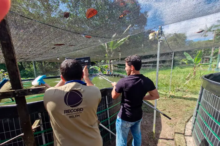 Bastidores da reportagem especial da TV Record - Record News sobre o potencial turístico e econômico de Benevides gravada no último dia 14 de Julho em diversos pontos do município.

O especial irá ao ar (em breve) na TV Record Belém e na Record News <div class='credito_fotos'>Foto: Márcio Souza &nbsp;&nbsp;|&nbsp;&nbsp; <a href='/midias/2026/originais/20260714134003-GF00009476-F00119766.webp' download><i class='fa-solid fa-download'></i> Download</a></div>