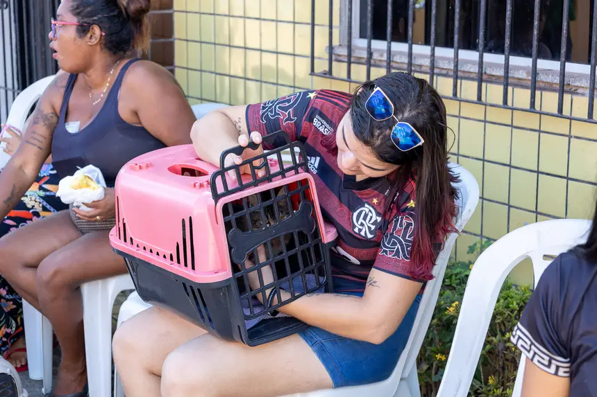  <div class='credito_fotos'>Foto: Karla Reis &nbsp;&nbsp;|&nbsp;&nbsp; <a href='/midias/2026/originais/20260728115702-GF00009486-F00120116.webp' download><i class='fa-solid fa-download'></i> Download</a></div>
