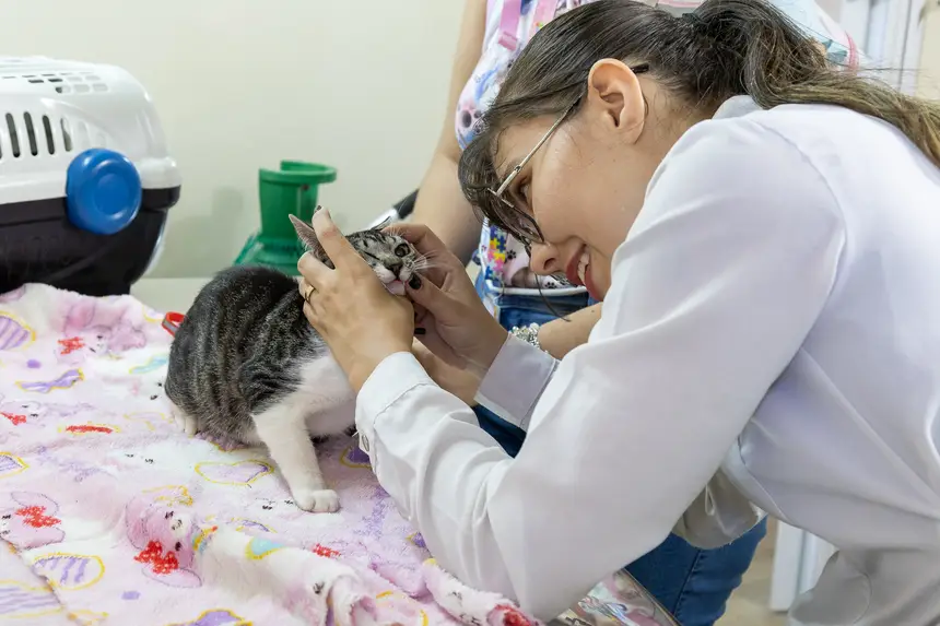  <div class='credito_fotos'>Foto: Karla Reis &nbsp;&nbsp;|&nbsp;&nbsp; <a href='/midias/2026/originais/20260728115706-GF00009486-F00120119.webp' download><i class='fa-solid fa-download'></i> Download</a></div>