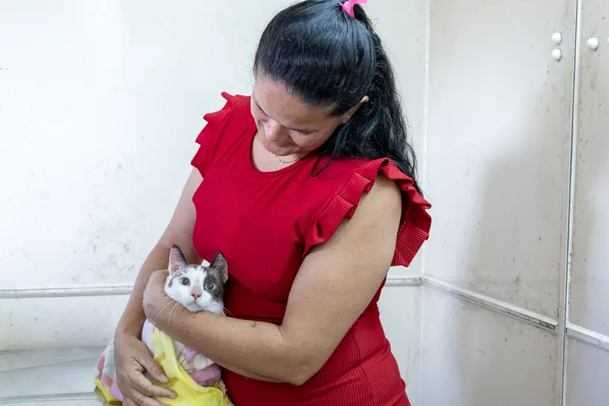 <div class='credito_fotos'>Foto: Karla Reis &nbsp;&nbsp;|&nbsp;&nbsp; <a href='/midias/2026/originais/20260728115749-GF00009486-F00120153.webp' download><i class='fa-solid fa-download'></i> Download</a></div>