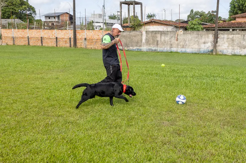  <div class='credito_fotos'>Foto: Karla Reis &nbsp;&nbsp;|&nbsp;&nbsp; <a href='/midias/2026/originais/20260729181110-GF00009488-F00120278.webp' download><i class='fa-solid fa-download'></i> Download</a></div>