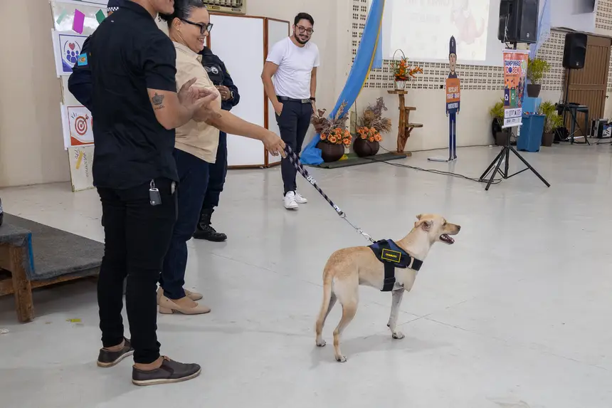  <div class='credito_fotos'>Foto: Karla Reis &nbsp;&nbsp;|&nbsp;&nbsp; <a href='/midias/2026/originais/20260827152255-GF00009519-F00121750.webp' download><i class='fa-solid fa-download'></i> Download</a></div>