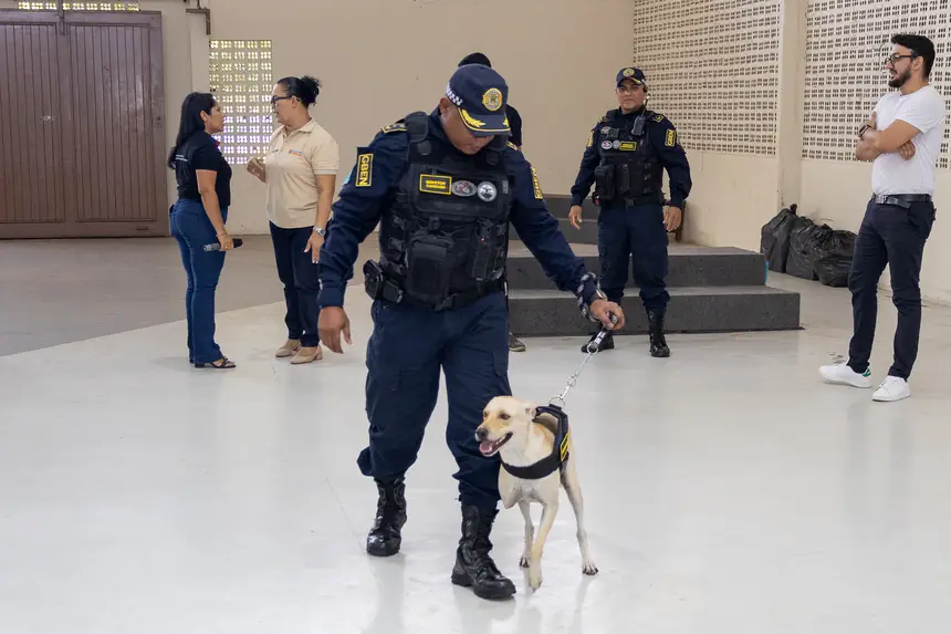  <div class='credito_fotos'>Foto: Karla Reis &nbsp;&nbsp;|&nbsp;&nbsp; <a href='/midias/2026/originais/20260827152303-GF00009519-F00121756.webp' download><i class='fa-solid fa-download'></i> Download</a></div>