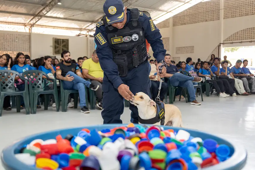  <div class='credito_fotos'>Foto: Karla Reis &nbsp;&nbsp;|&nbsp;&nbsp; <a href='/midias/2026/originais/20260827152333-GF00009519-F00121778.webp' download><i class='fa-solid fa-download'></i> Download</a></div>