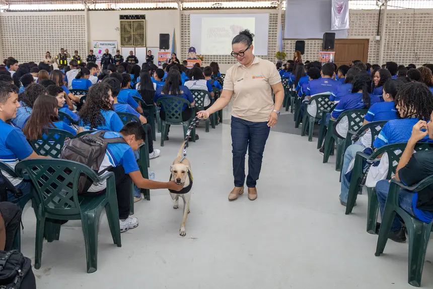  <div class='credito_fotos'>Foto: Karla Reis &nbsp;&nbsp;|&nbsp;&nbsp; <a href='/midias/2026/originais/20260827152408-GF00009519-F00121805.webp' download><i class='fa-solid fa-download'></i> Download</a></div>