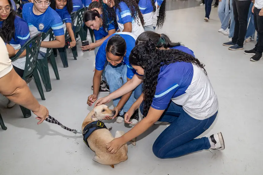  <div class='credito_fotos'>Foto: Karla Reis &nbsp;&nbsp;|&nbsp;&nbsp; <a href='/midias/2026/originais/20260827152410-GF00009519-F00121806.webp' download><i class='fa-solid fa-download'></i> Download</a></div>