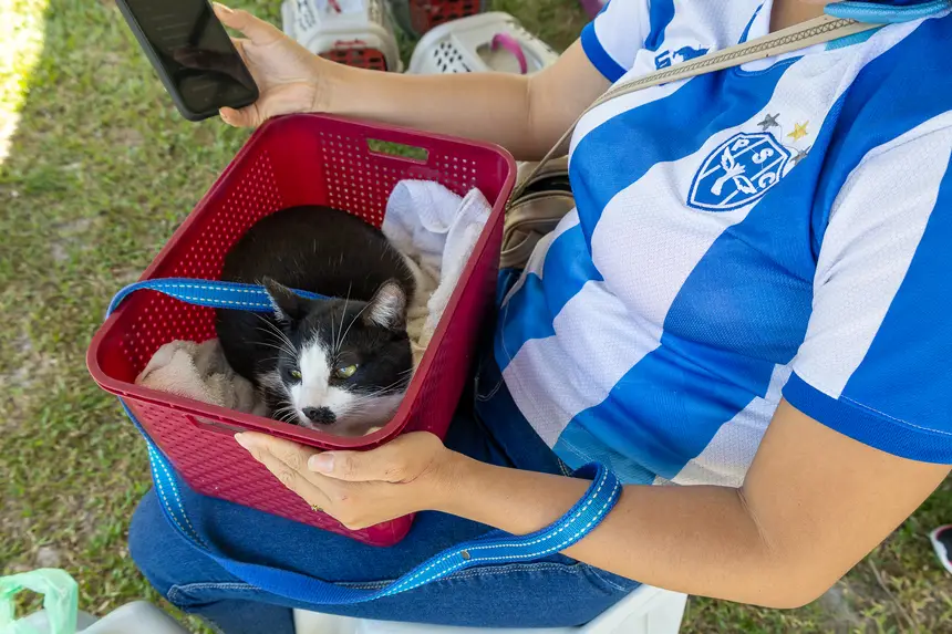  <div class='credito_fotos'>Foto: Karla Reis &nbsp;&nbsp;|&nbsp;&nbsp; <a href='/midias/2026/originais/20261007162528-GF00009547-F00124357.webp' download><i class='fa-solid fa-download'></i> Download</a></div>